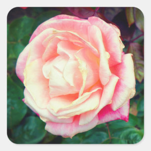 Gemini Rosa #1 Pegatinas