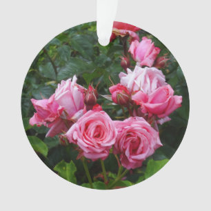 Gene Boerner Rosa #1 Ornamento