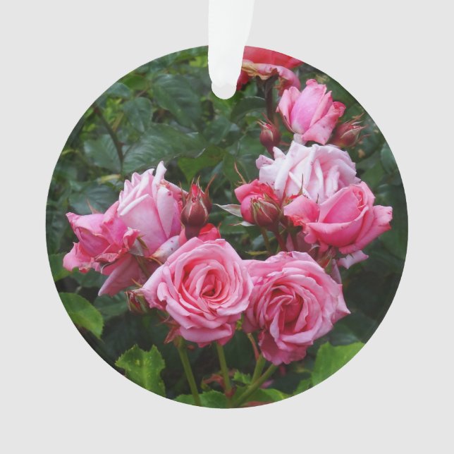 Gene Boerner Rosa #1 Ornamento (Anverso)
