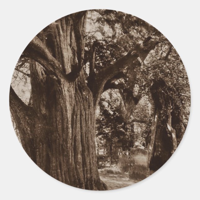 Genealogía pegatina Churchyard Old Yew Tree Stones (Anverso)