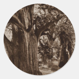 Genealogía pegatina Churchyard Old Yew Tree Stones