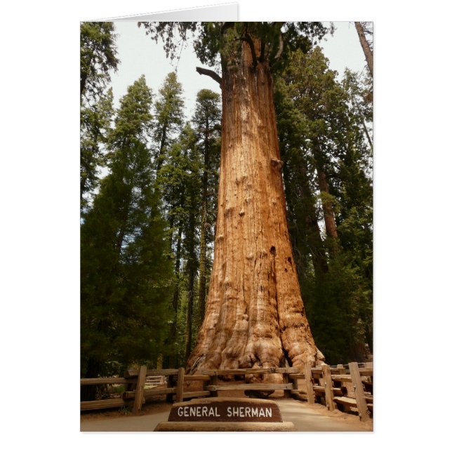 General Sherman, secuoia gigante (Frente)