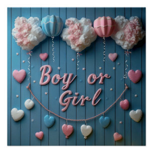 Género revelan a niño o Chica Poster rosa y azul