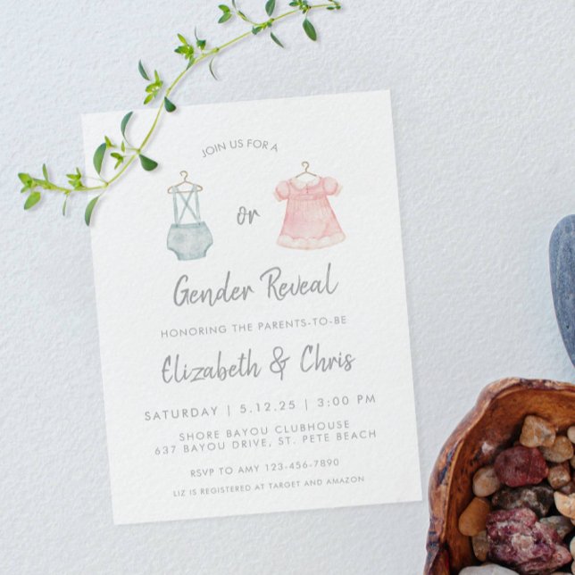 Género Revelar invitación Baby Shower Azul rosado (Subido por el creador)