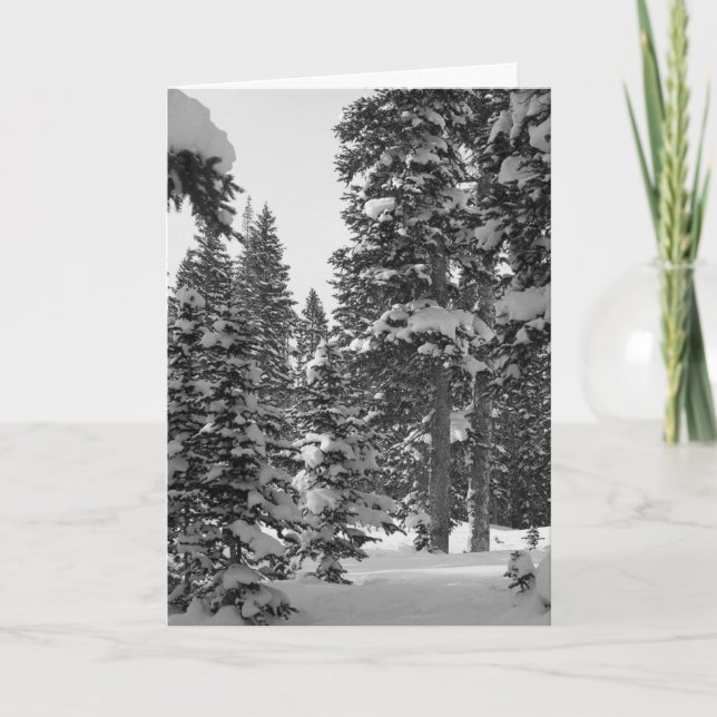 ¡Genial escuchar de ti! Plantilla después de Navid (Anverso)