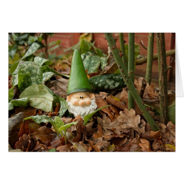 Genoma de jardín (Anverso (Horizontal))