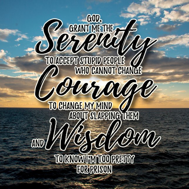 Gente sarcástica y estúpida camiseta de la oración (Subido por el creador)