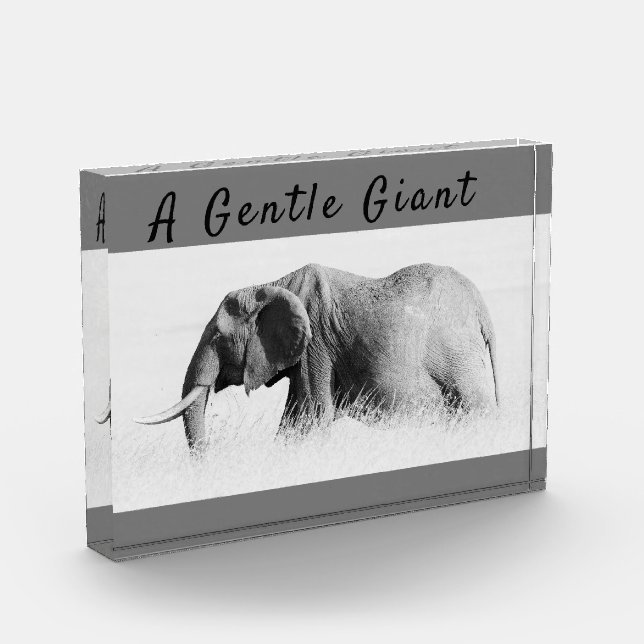 Gentle Giant Elephant foto de alta clave con texto (Izquierda)
