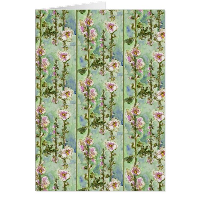 Gentle Mallow (Frente)