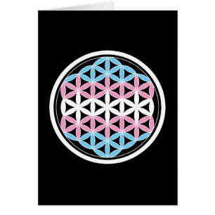 geometría tranSagrada