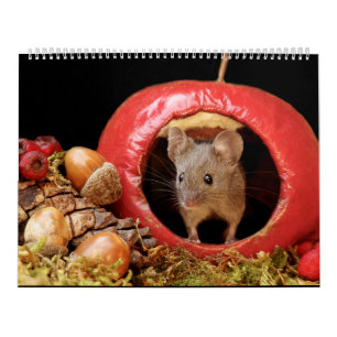 George el ratón en un calendario de la casa pila 