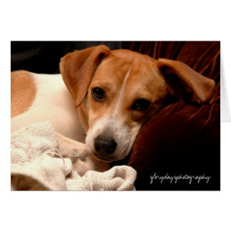 Georgia, glorydaysphotografía