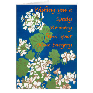 Geranios blancos sobre cirugía azul se llevan bien