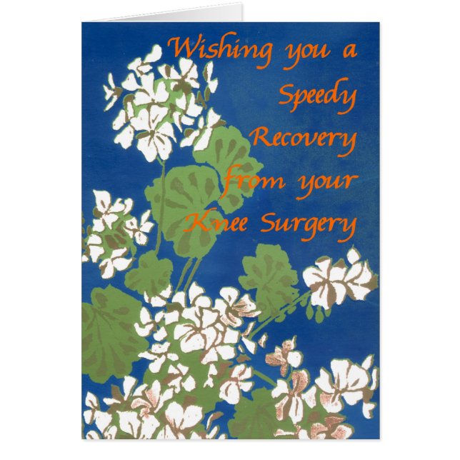 Geranios blancos sobre cirugía azul se llevan bien (Frente)