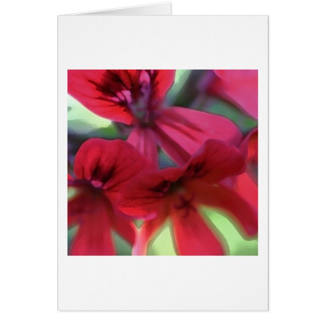 Geranios pintados (Frente)