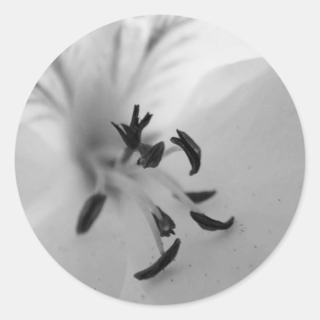 Geranium Center Pegatinas B&W (Anverso)