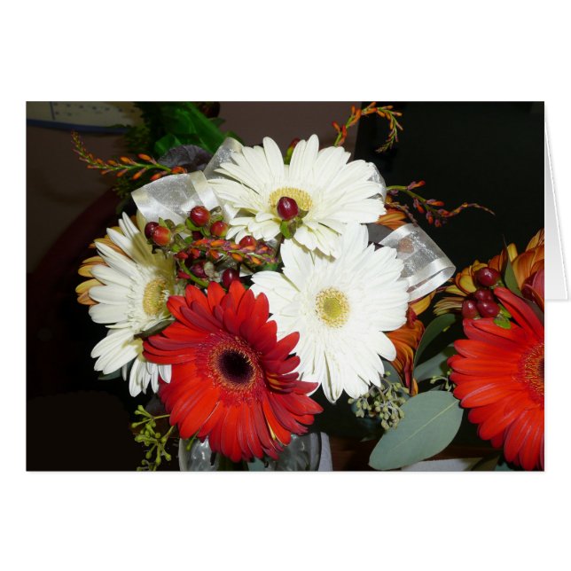 Gerber Daisy (Anverso (Horizontal))