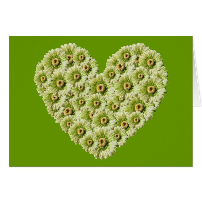 Gerber Daisy Heart (Anverso (Horizontal))