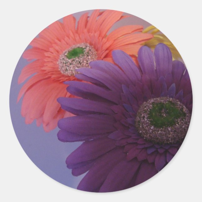 Gerbera Daisies - Pegatinas (Anverso)
