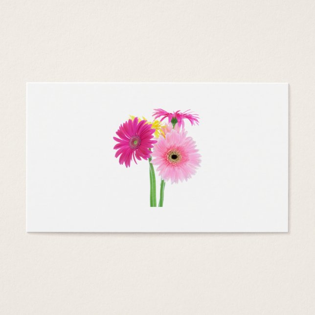 Gerbera Daisies Pink (Frente)