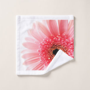 Gerbera Daisy