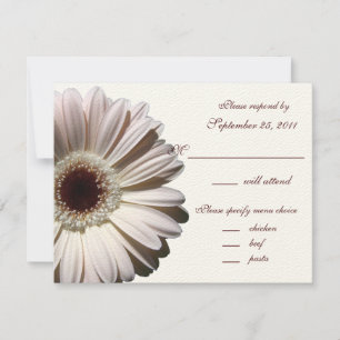 Gerbera Daisy Boda/ Respuesta