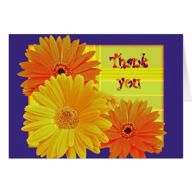 Gerbera Daisy (Gerbera hybrida) - Amarillo (Anverso (Horizontal))