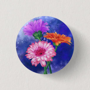 Gerbera Margaritas Botón Colores Hermosos