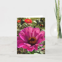 gerbera notecard (en blanco dentro)