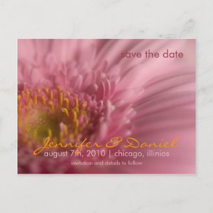 Gerbera Rosa • Tarjeta Postal Save the Date