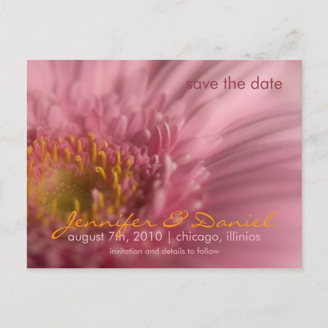 Gerbera Rosa • Tarjeta Postal Save the Date (Anverso)