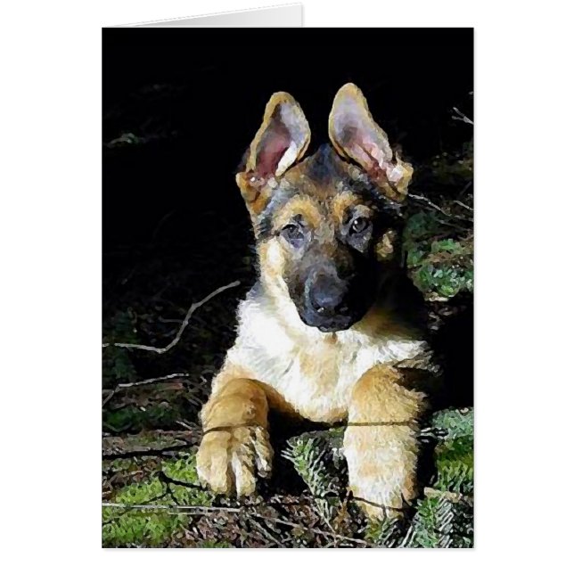 German-Shepherd Puppy (Frente)