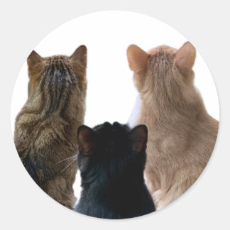 Gerónimo, Henri y Floyd Pegatina