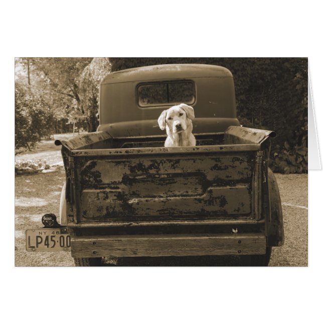 Get Out of Dodge - Dog Photograph (Anverso (Horizontal))