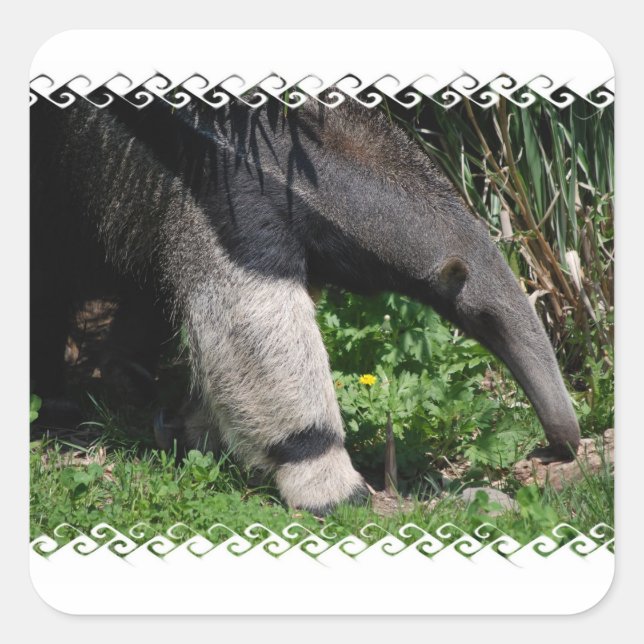Giant Anteater Photo Pegatina (Anverso)