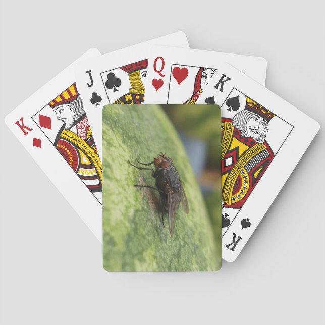 GIANT Fly Deck de cartas de juego (Reverso)