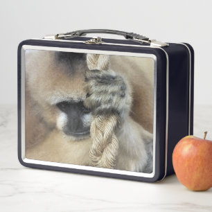 GIBBON