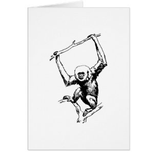Gibbon