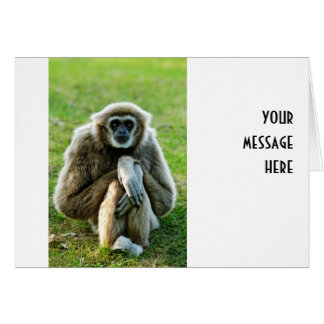 Gibbon, hablemos del significado de la vida...
