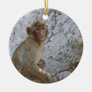 Gibraltar Monkeys el ornamento