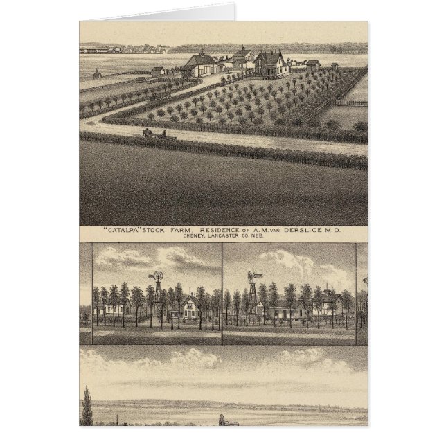 Gibson Nebraska (Frente)