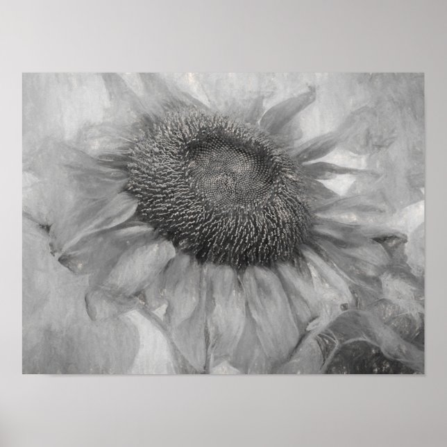 Gigante Estilo Vintage Sunflower Arte Negro Y Blan (Frente)