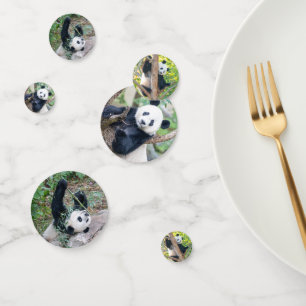 Gigante Panda Pics Confetti