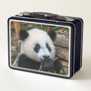 Gigante Pandas Mei Xiang y Xiao Qi Ji Lunch Box