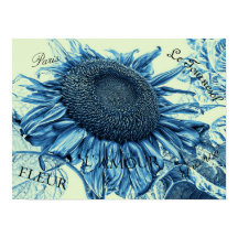Gigante Sunflowers Arte Vintage Azul Guión Verde