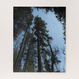 Gigantes del rompecabezas de Griffiths Woods