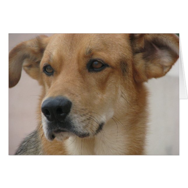 Gilbert (Anverso (Horizontal))