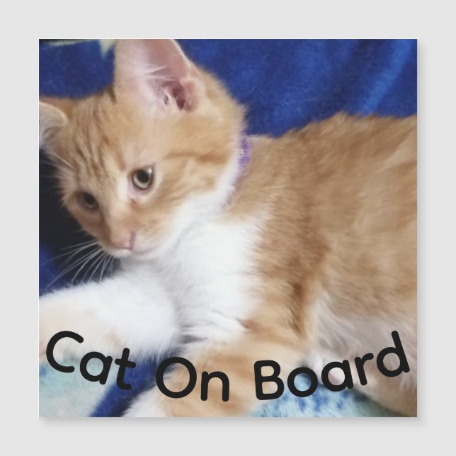 ginger cat on board photo,  car magnet (Anverso)