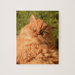 GINGER CAT PERSIAN JIGSAW rompecabezas