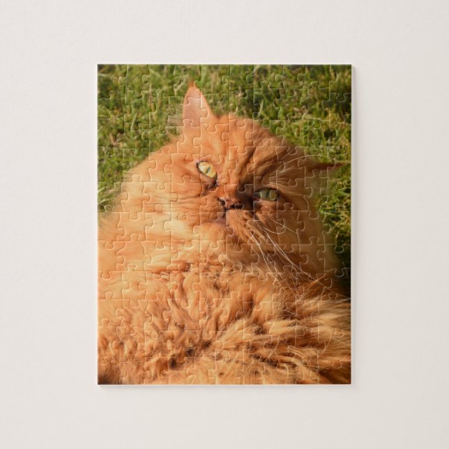 GINGER CAT PERSIAN JIGSAW rompecabezas (Vertical)